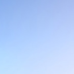 血液型ダイエットに挑戦！ミランダカーがはまって大成功した方法