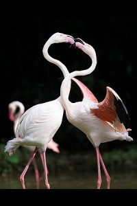 68251869e6a3535e5cf9-LL