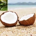ココナッツオイルの効能に驚き！副作用なしってほんと？
